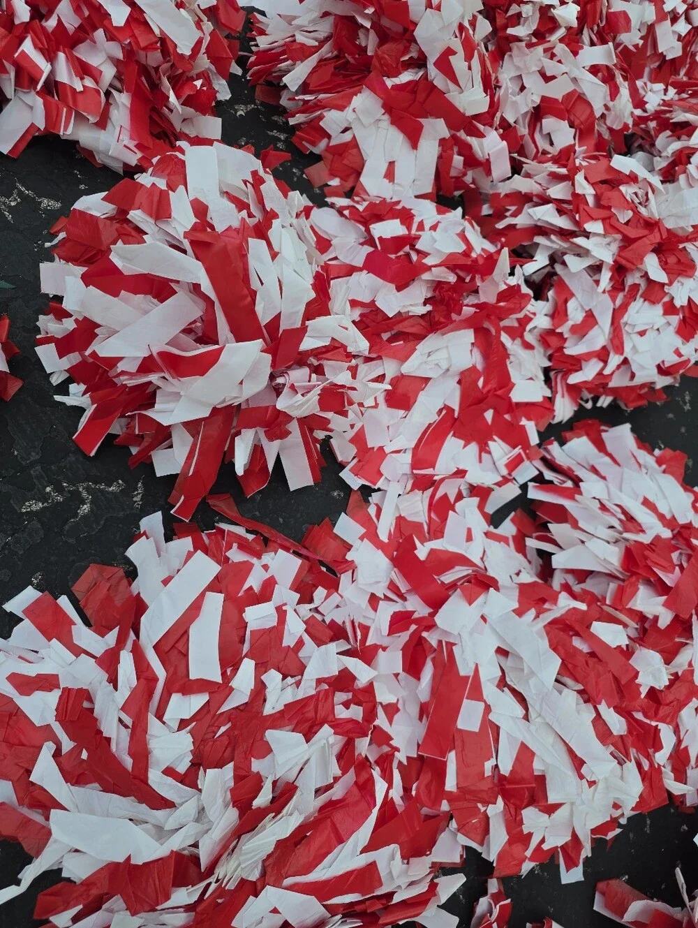 Pom Poms